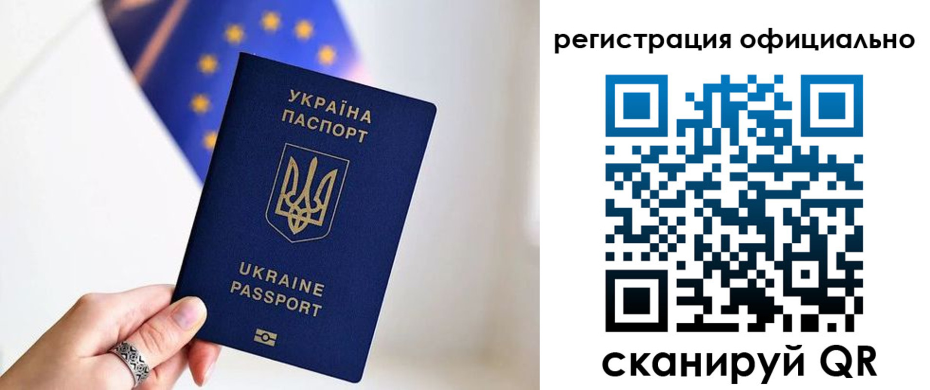 прописка для школы в Ленинградской области